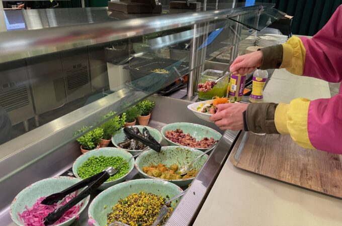 Intertwined Fates: A Costa Rican’s Analysis of Finnish Motivations for Vegan Eating Practices 