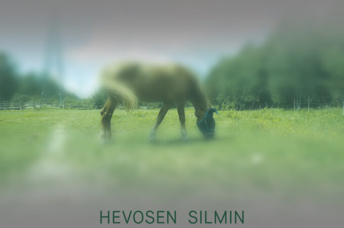 Hevosen silmin
