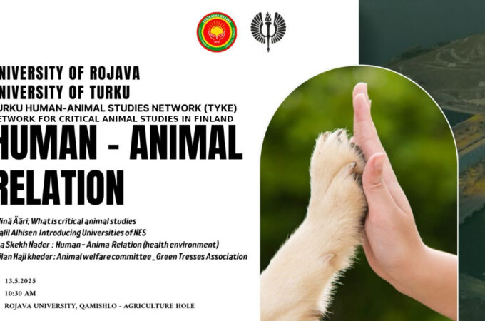 Poster of the webinar